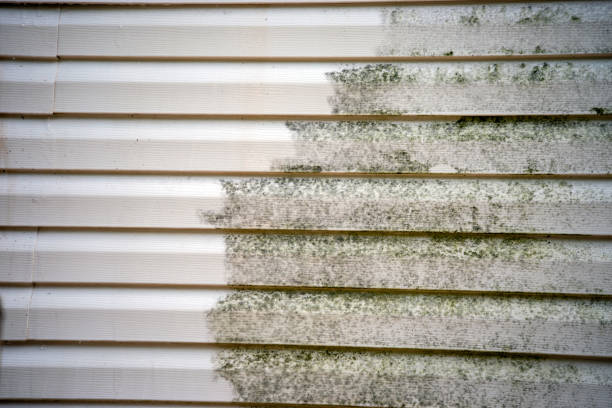 Best Fascia and Soffit Installation  in Glen Rock, NJ